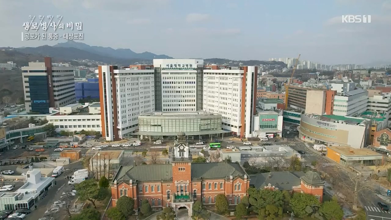 생로병사의 비밀.E857.230223p.H264-F1RST.mp4_20230223_202245.130.jpg