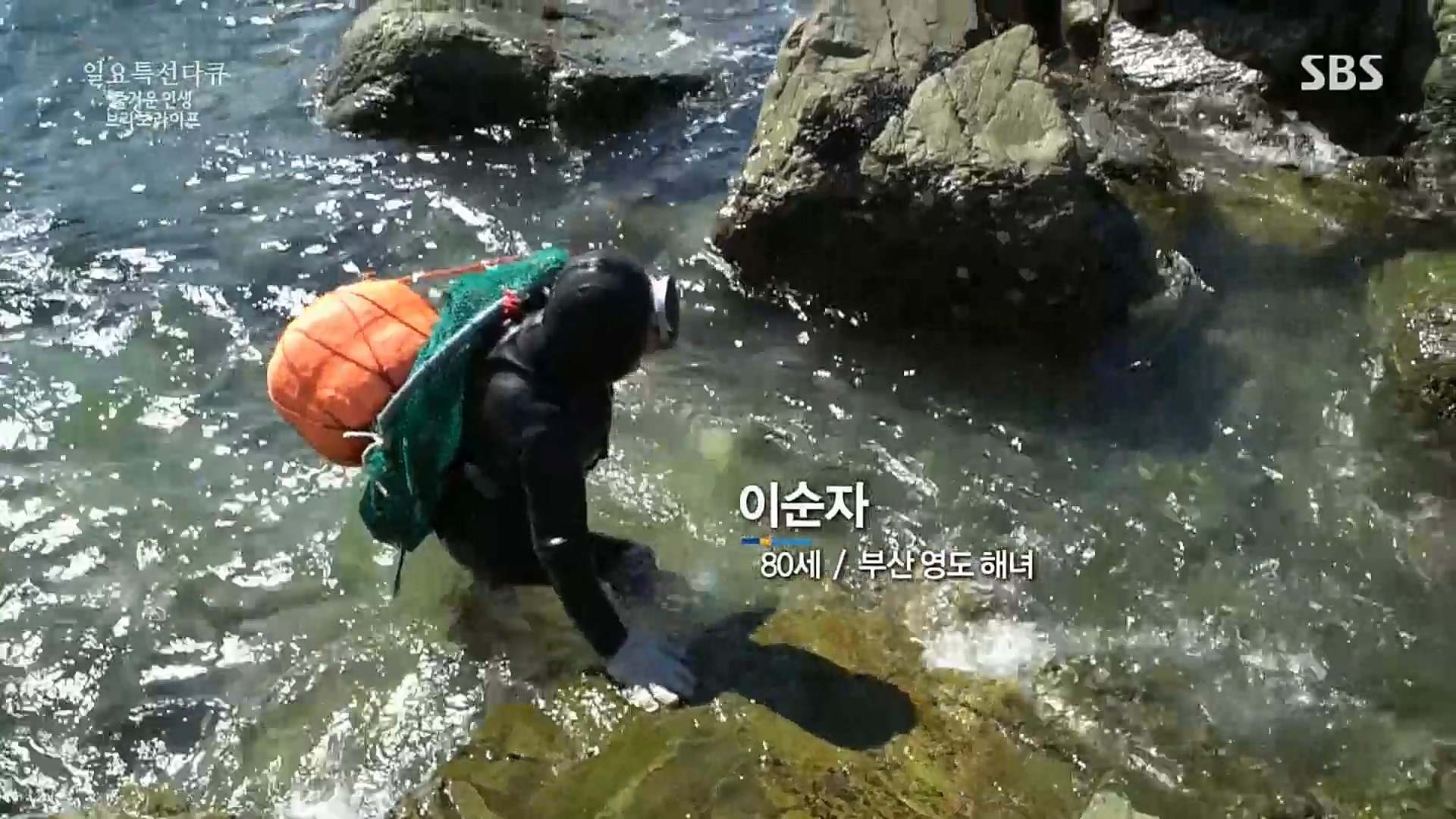 일요 특선 다큐멘터리.E292.221016p.H264-F1RST.mp4_20221018_181113.884.jpg