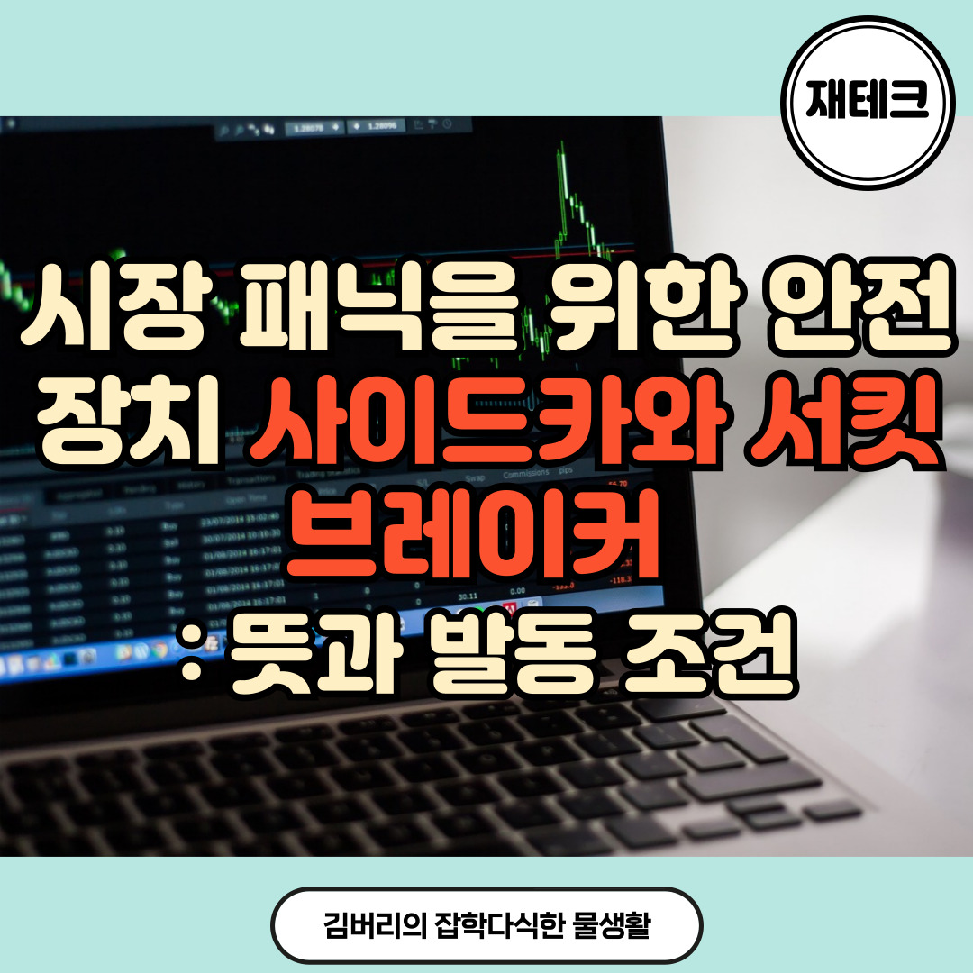 사이드카와 서킷브레이커