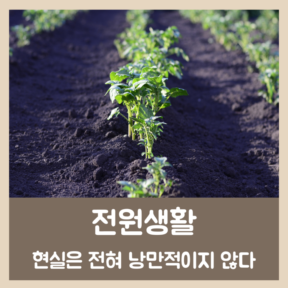 시골땅 토지 매매 주의점 9