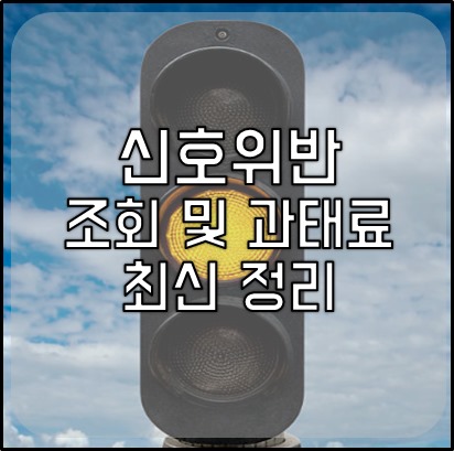 신호위반 조회-1