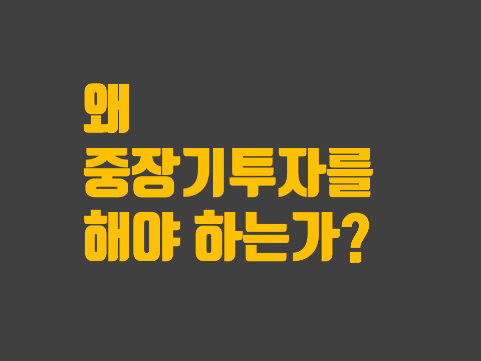  잃지 않는 투자, 중장기 투자! (feat.가치투자? 기간투자?)