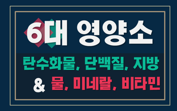  6대 영양소 = 3대 영양소(탄단지) + @(물,비타민,미네랄)