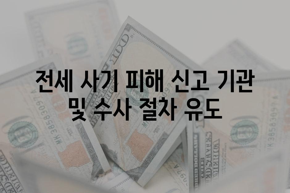 전세 사기 피해 신고 기관 및 수사 절차 유도