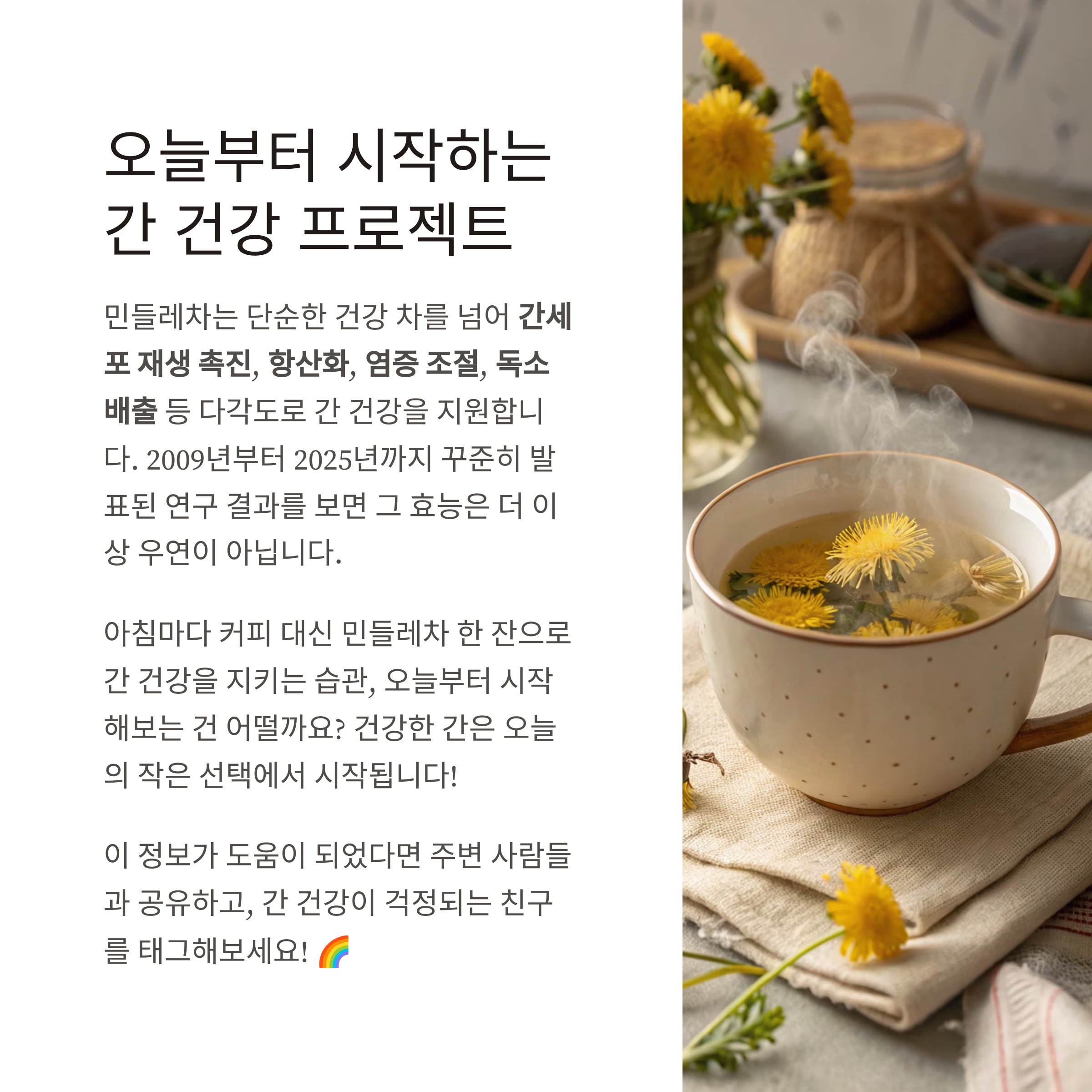 민들레차 효능