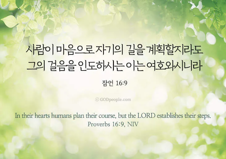 잠언 16장 솔로몬 성경 해석 이해_1