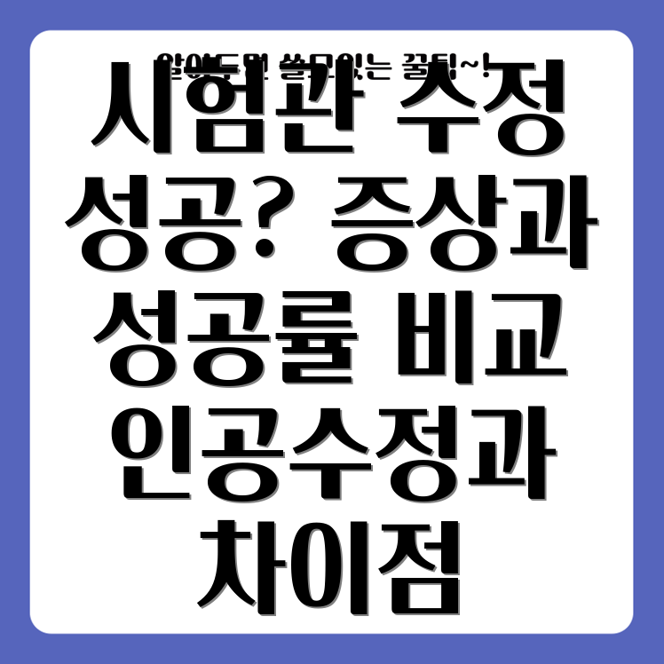 시험관 수정