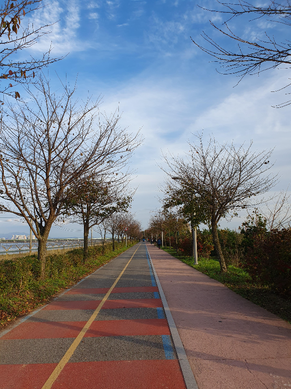 사색의 길은 왕벚꽃나무 산책길로 약 3.4km 길이다