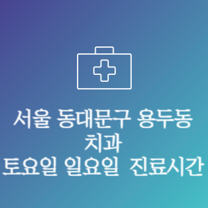 서울 동대문구 용두동 치과 주말 토요일 일요일 문여는 병원 진료시간