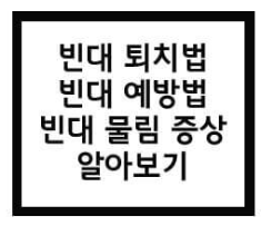 빈대에 관한 글 링크 사진