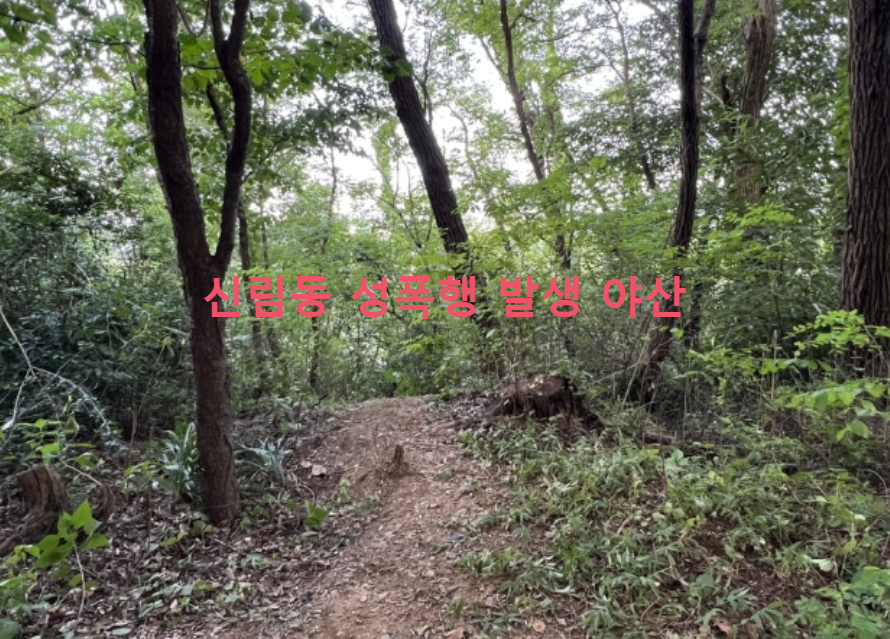  신림동 성폭행 사건과 너클(Knuckles)