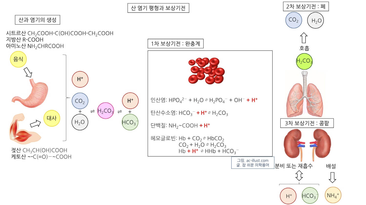 베이킹소다 복용법과 베이킹소다 부작용