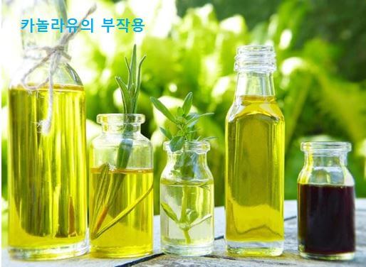  카놀라유 부작용 치매 연관성