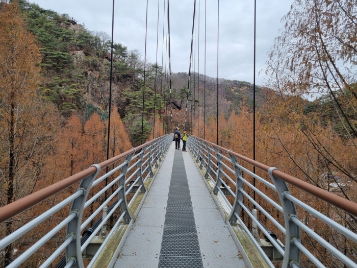 출렁다리
