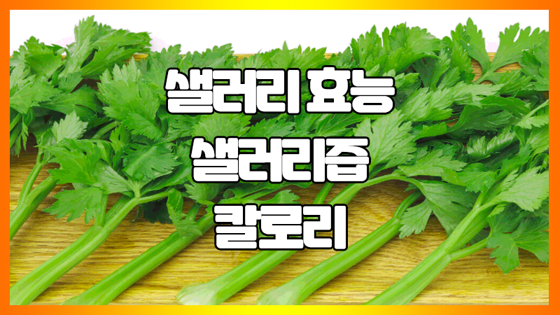  셀러리 효능, 칼로리 : 셀러리즙, 샐러리