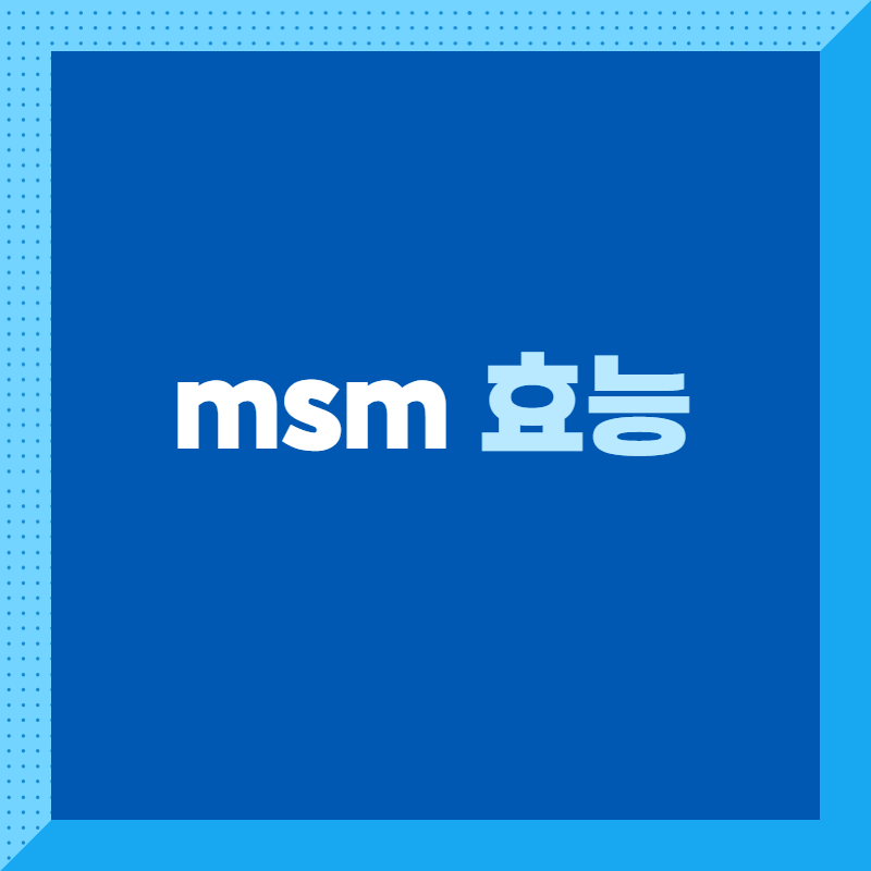 msm의 효능은?