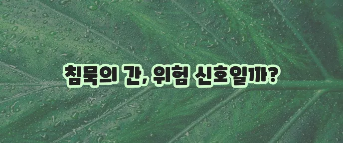 간수치가 높을 때 나타나는 증상과 관리법 꼭 알아두세요!