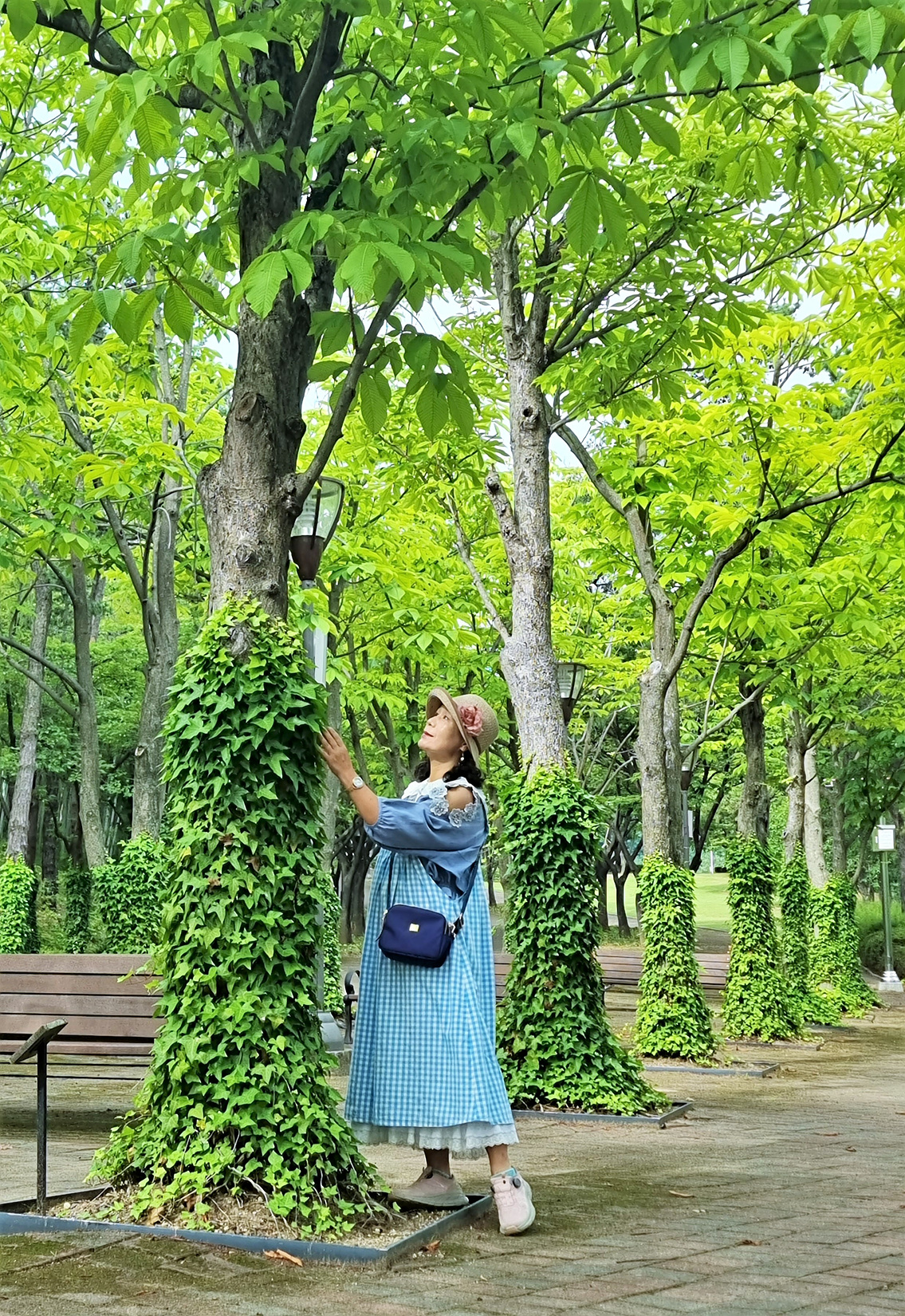 임**-1 이미지