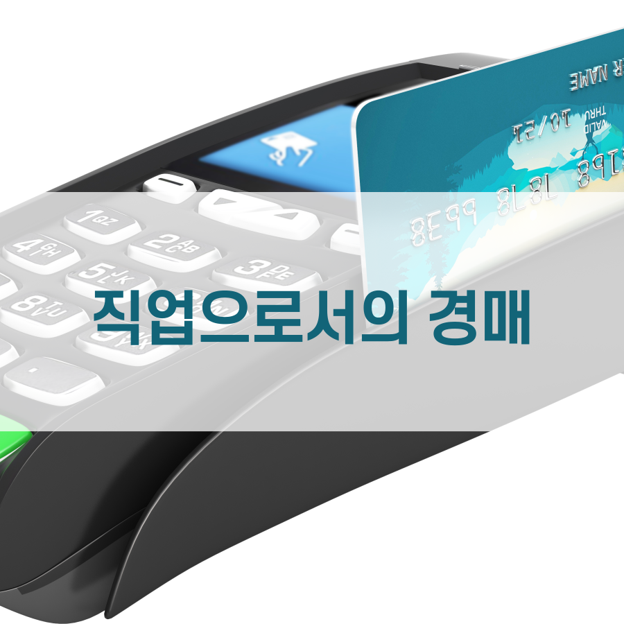  직업으로서의 경매와 경매 컨설팅업 1
