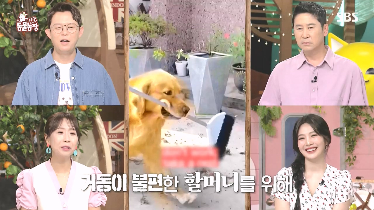 TV 동물농장.E1183.240805p-NEXT.mp4_20240804_154929.984.jpg
