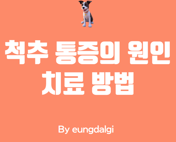 척추통증의 원인과 치료 방법
