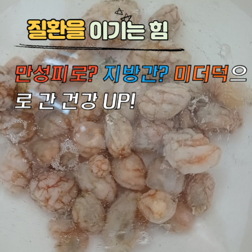 만성피로? 지방간? 미더덕으로 간 건강 UP!