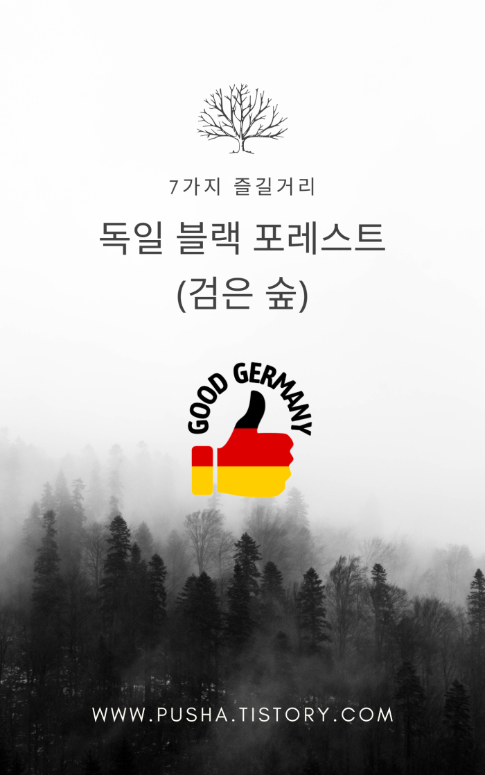  독일 블랙 포레스트(검은 숲) - 7가지 즐길거리