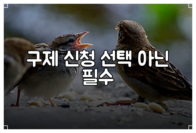 구제 신청 선택 아닌 필수