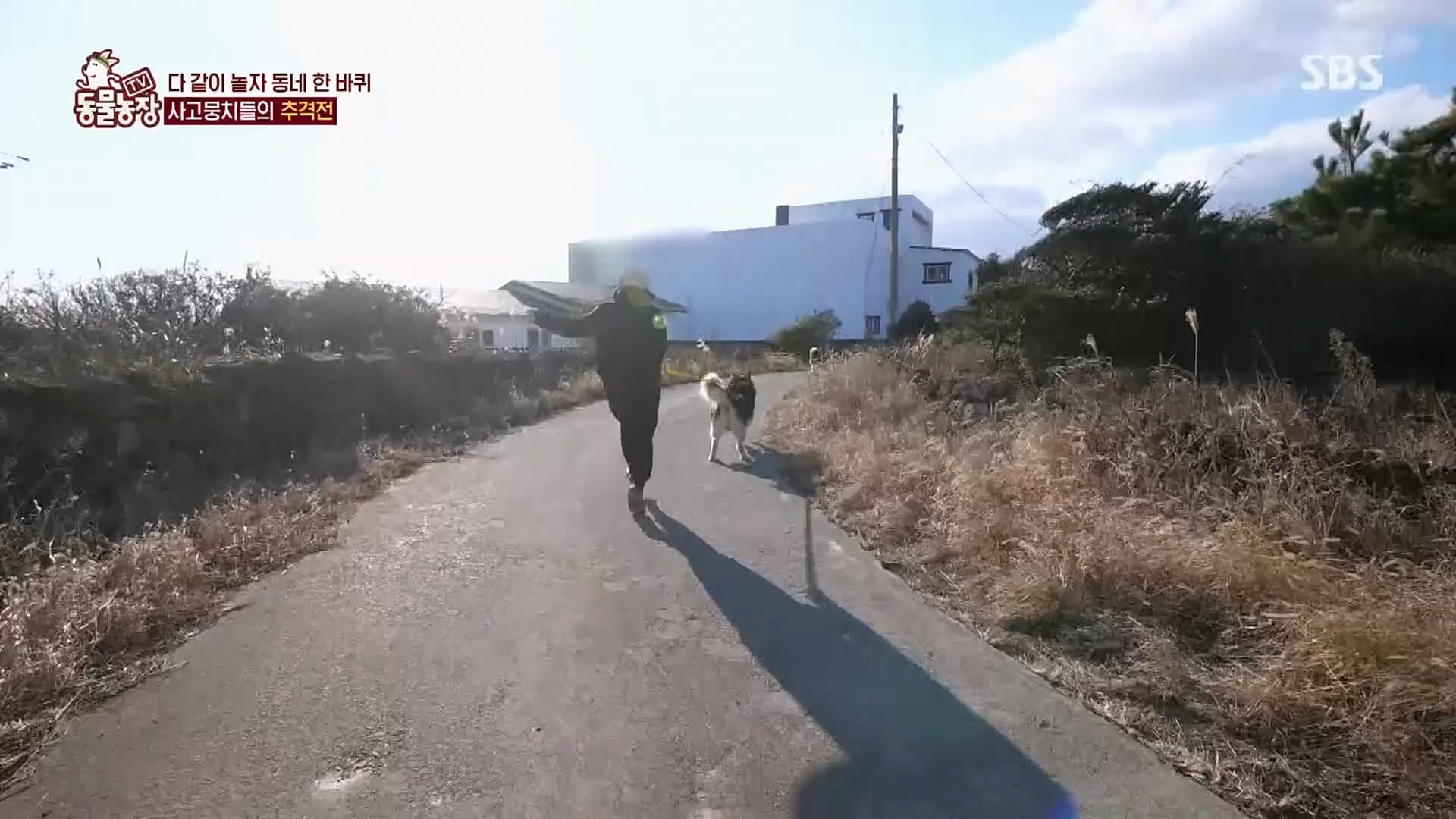 TV 동물농장.E1107.230205p.H264-F1RST.mp4_20230205_173958.119.jpg