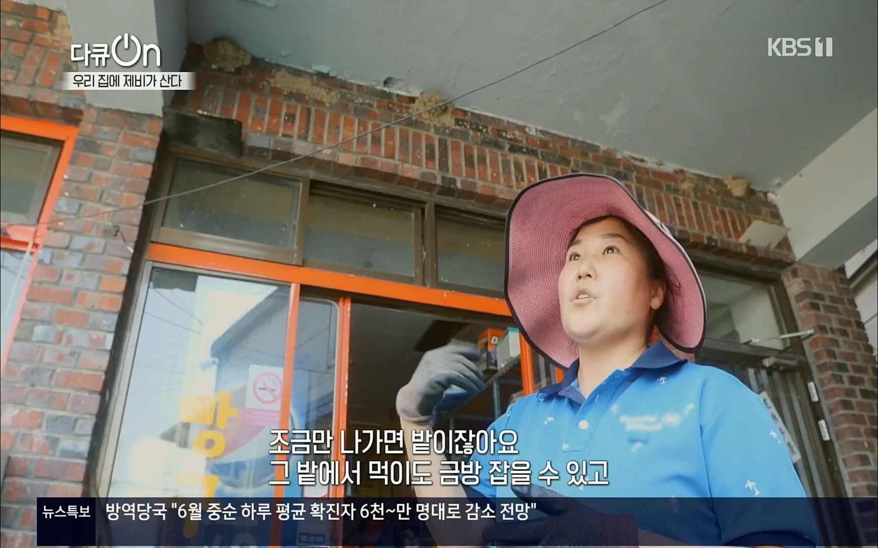 다큐 On.E143.220610p.H264-F1RST.mp4_20220613_202635.636.jpg