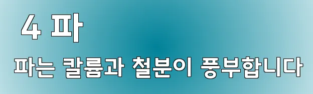  4 파 파는 칼륨과 철분이 풍부합니다