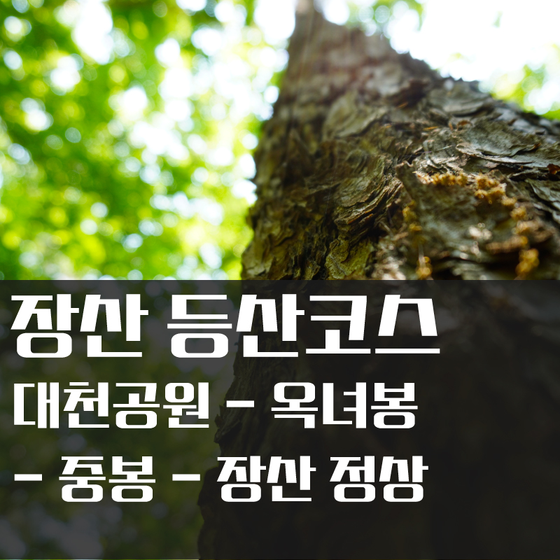  장산 등산코스 추천 (해운대 대천공원- 옥녀봉- 정상- 중봉- 대천체육공원)