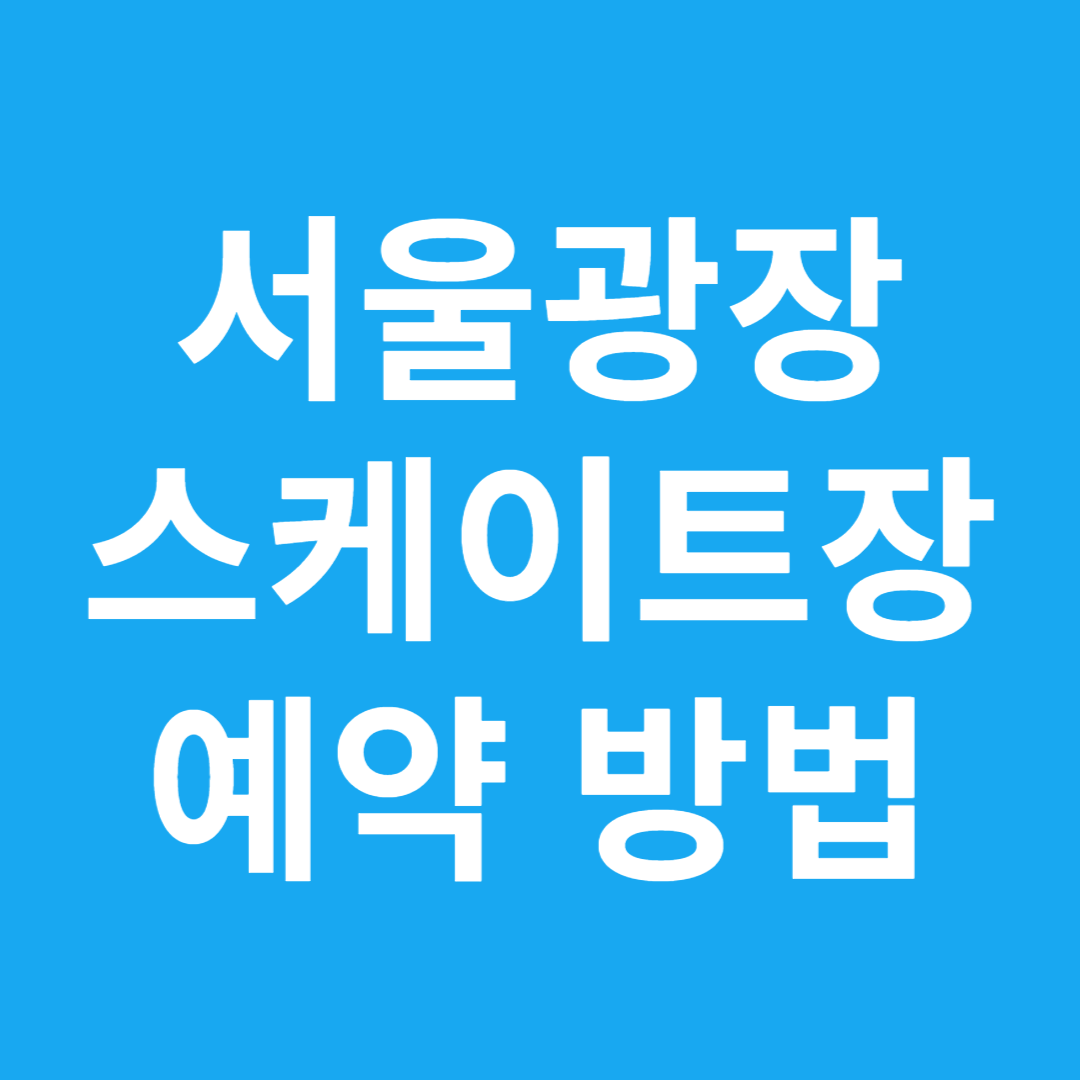 서울광장 스케이트장 예약 방법