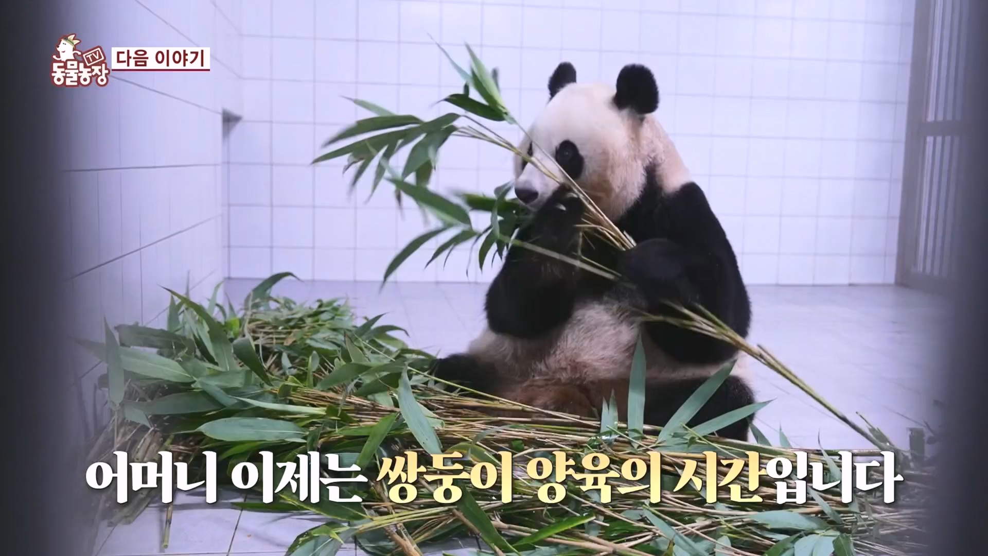 TV 동물농장.E1149.231210p.H264-F1RST.mp4_20231210_171120.126.jpg