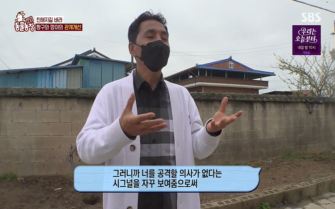 TV 동물농장.E1068.220509p-NEXT.mp4_20220508_173835.497.jpg