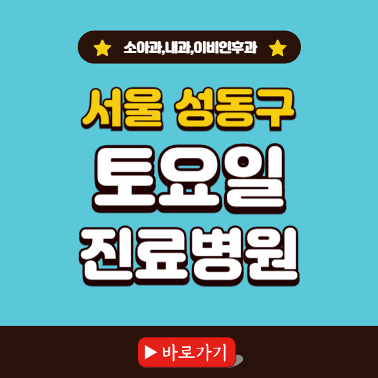 서울 성동구 토요일 진료 병원 찾기 ❘ 주말 문여는 소아과, 내과, 이비인후과 리스트