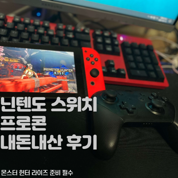  닌텐도  스위치 프로콘 리뷰, 몬헌 라이즈 준비준비