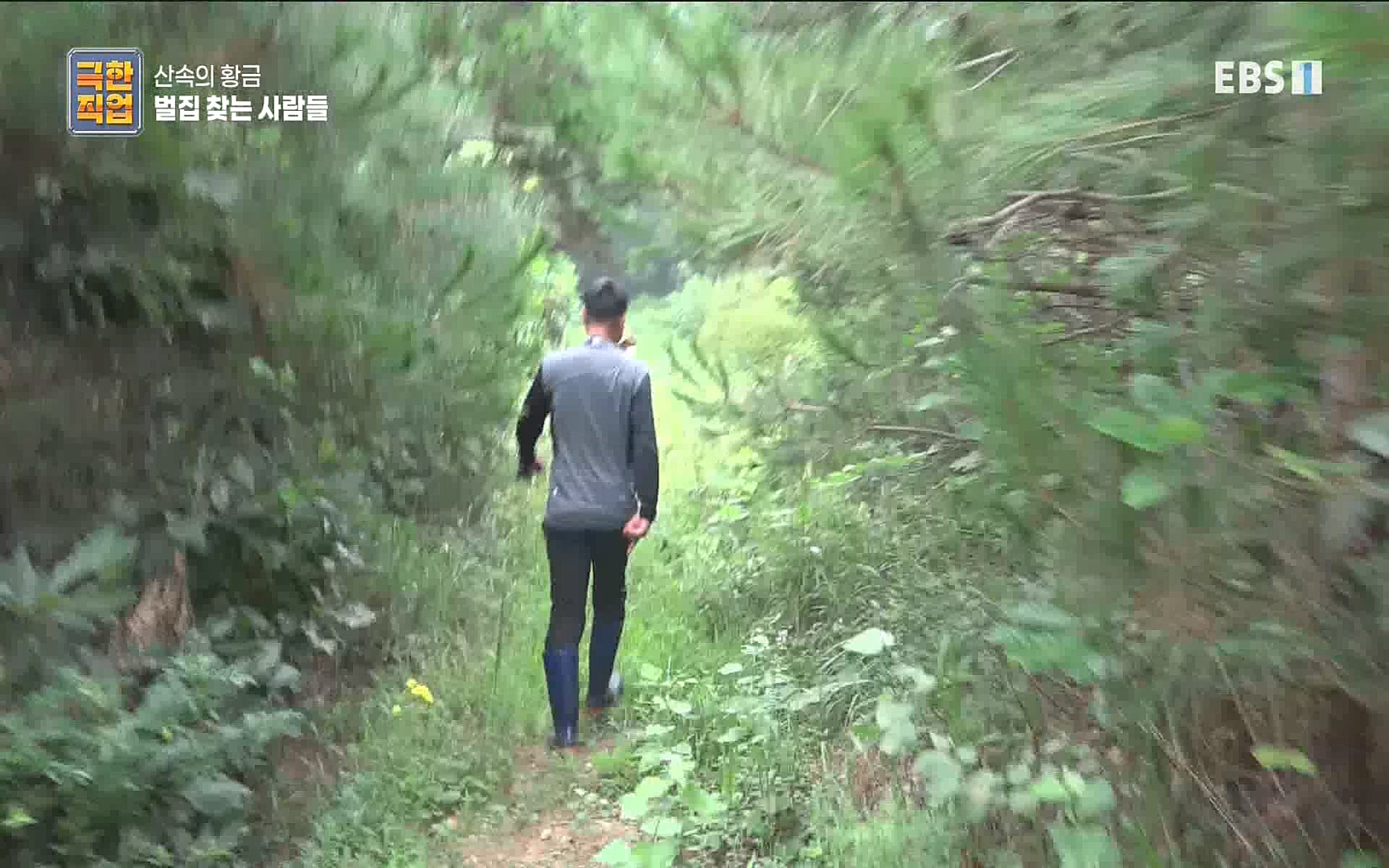 벌집 찾는 사람들.mp4_20221006_212358.973.jpg