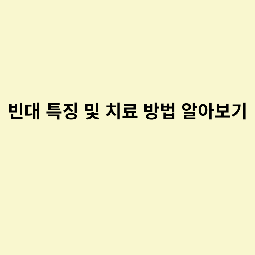  빈대 특징 및 치료 방법 알아보기