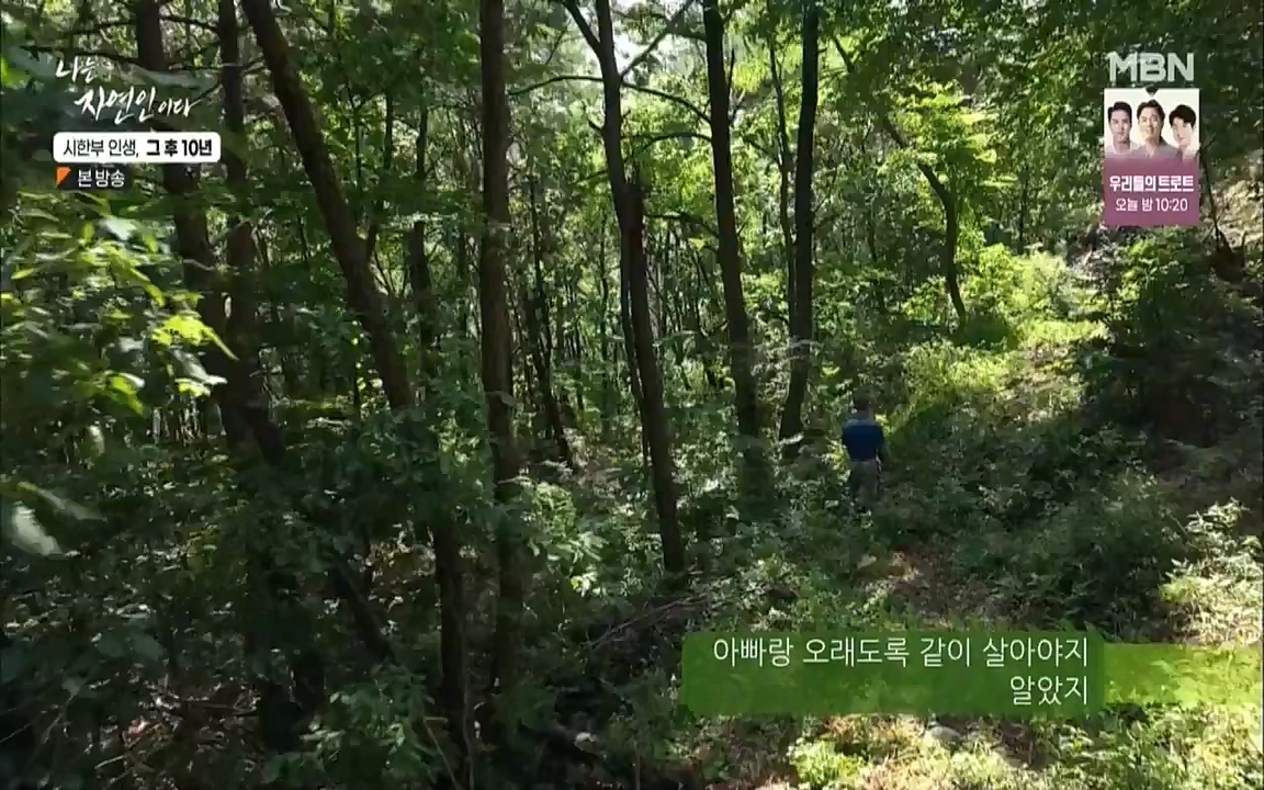 나는 자연인이다.E518.220908p.WANNA.mp4_20220908_200828.683.jpg