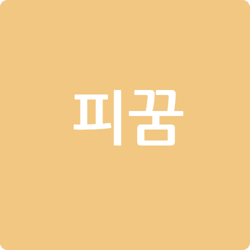 피꿈