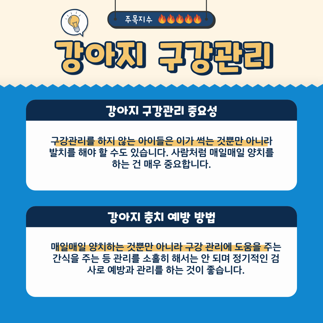 강아지 충치 예방 TIP