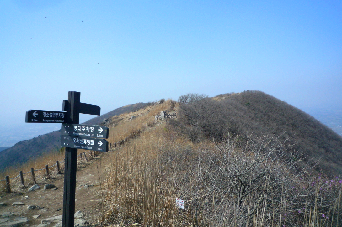 한국 명산 충남 홍성 보령 오서산 등산 mountain hiking