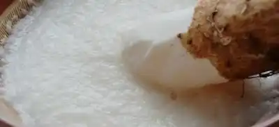 마 사진 4
