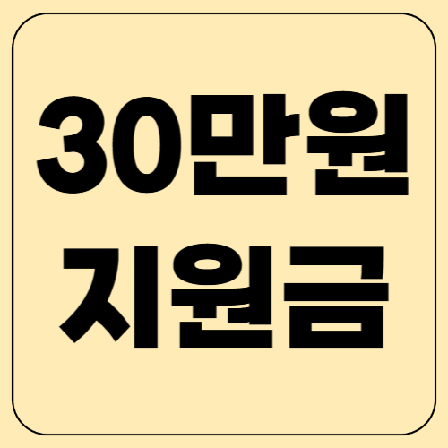 30만 원 지원금 신청하세요! 정부·지자체 혜택 총정리