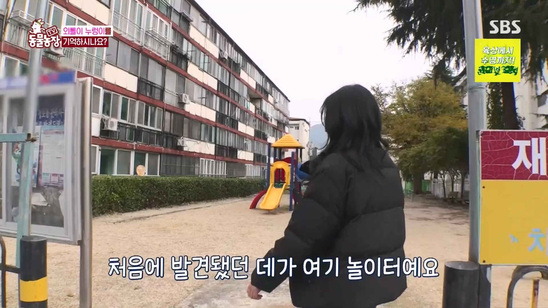 TV 동물농장.E1158.240211p.H264-F1RST.mp4_20240211_194050.101.jpg