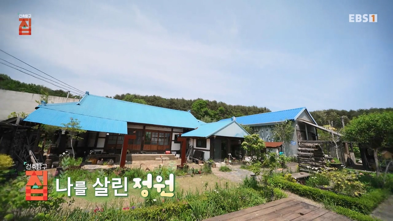 TV - 전 국민의 평생학교 EBS나를 살린 정원.mp4_20230814_205209.470.jpg