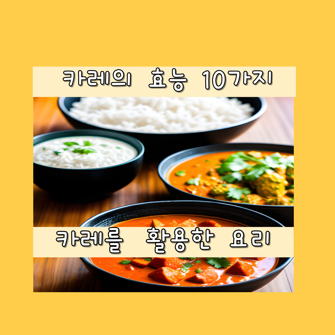 카레의 효능