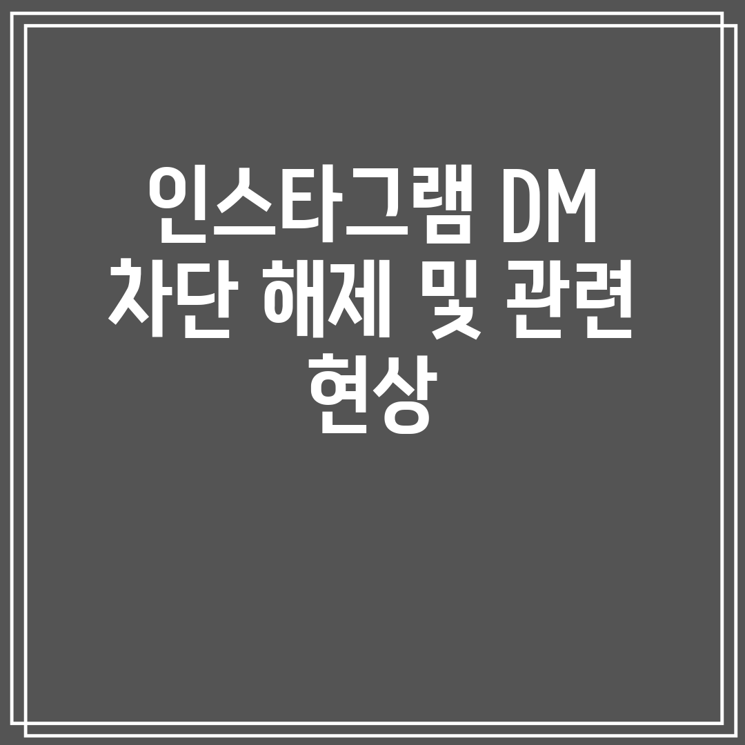 인스타그램 DM 차단 해제 및 관련 현상