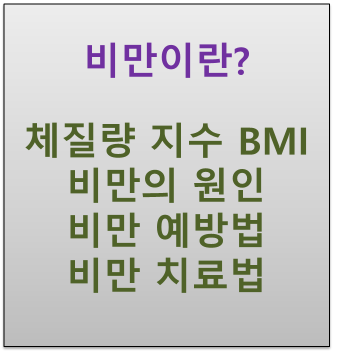  비만의 원인 우리몸에 끼치는 영향 예방법 체질량지수 BMI